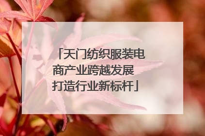 天门纺织服装电商产业跨越发展 打造行业新标杆