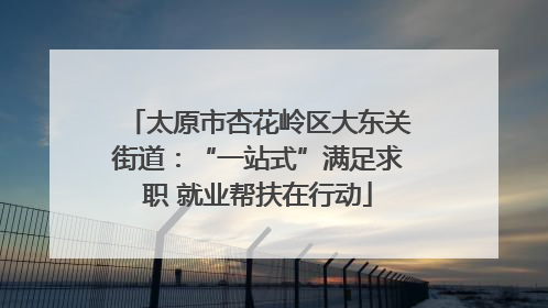 太原市杏花岭区大东关街道：“一站式”满足求职 就业帮扶在行动