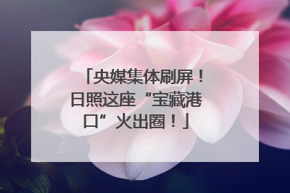 央媒集体刷屏！日照这座“宝藏港口”火出圈！