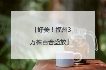 好美！福州3万株百合盛放