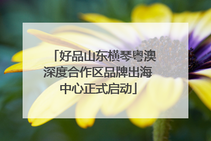 好品山东横琴粤澳深度合作区品牌出海中心正式启动
