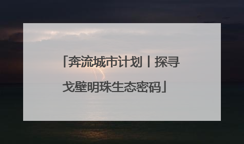 奔流城市计划丨探寻戈壁明珠生态密码