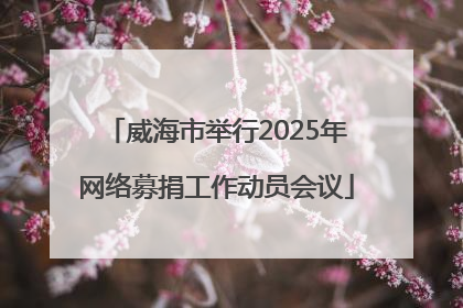 威海市举行2025年网络募捐工作动员会议