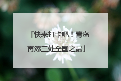快来打卡吧！青岛再添三处全国之最
