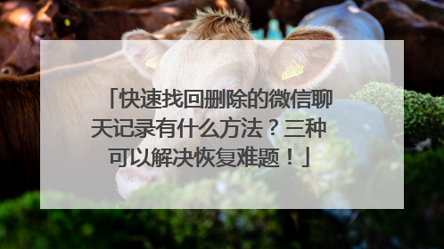 快速找回删除的微信聊天记录有什么方法？三种可以解决恢复难题！