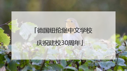 德国纽伦堡中文学校庆祝建校30周年