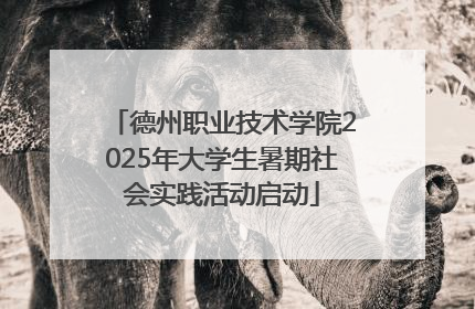 德州职业技术学院2025年大学生暑期社会实践活动启动