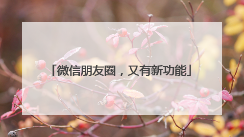 微信朋友圈，又有新功能