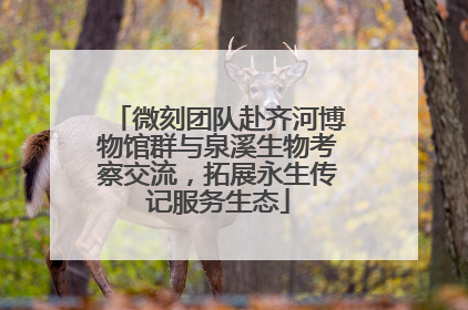 微刻团队赴齐河博物馆群与泉溪生物考察交流，拓展永生传记服务生态