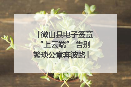微山县电子签章“上云端” 告别繁琐公章奔波路
