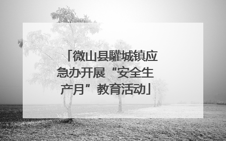 微山县驩城镇应急办开展“安全生产月”教育活动
