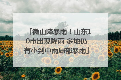 微山降暴雨！山东10市出现降雨 多地仍有小到中雨局部暴雨