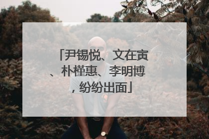 尹锡悦、文在寅、朴槿惠、李明博，纷纷出面