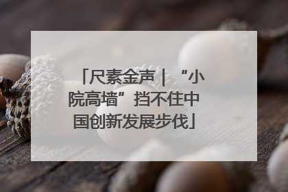 尺素金声｜“小院高墙”挡不住中国创新发展步伐