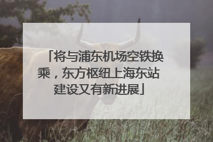 将与浦东机场空铁换乘，东方枢纽上海东站建设又有新进展