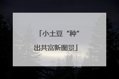 小土豆“种”出共富新图景