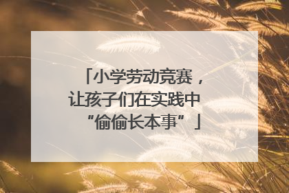 小学劳动竞赛，让孩子们在实践中“偷偷长本事”