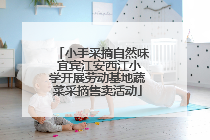 小手采摘自然味 宜宾江安西江小学开展劳动基地蔬菜采摘售卖活动