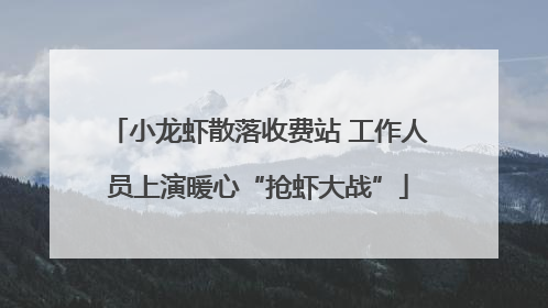 小龙虾散落收费站 工作人员上演暖心“抢虾大战”