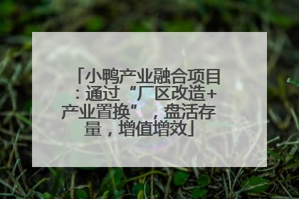 小鸭产业融合项目：通过“厂区改造+产业置换”，盘活存量，增值增效