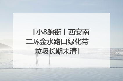 小8跑街丨西安南二环金水路口绿化带垃圾长期未清