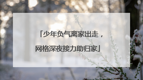 少年负气离家出走，网格深夜接力助归家