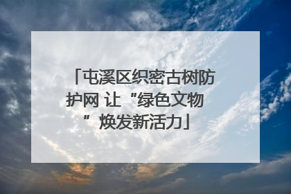 屯溪区织密古树防护网 让“绿色文物”焕发新活力