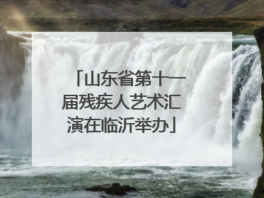 山东省第十一届残疾人艺术汇演在临沂举办