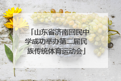 山东省济南回民中学成功举办第二届民族传统体育运动会