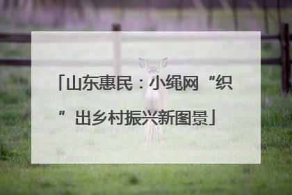 山东惠民：小绳网“织”出乡村振兴新图景