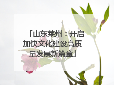 山东莱州：开启加快文化建设高质量发展新篇章