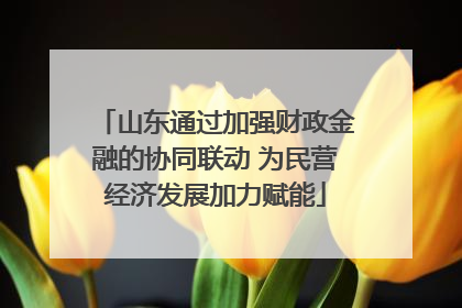 山东通过加强财政金融的协同联动 为民营经济发展加力赋能