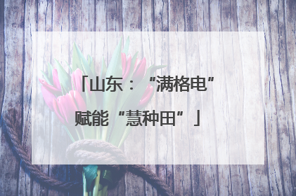 山东：“满格电”赋能“慧种田”