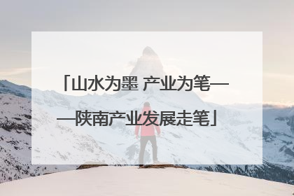 山水为墨 产业为笔——陕南产业发展走笔