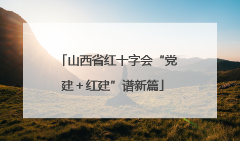 山西省红十字会“党建＋红建”谱新篇