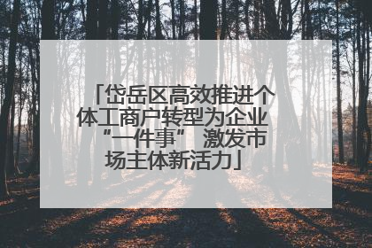 岱岳区高效推进个体工商户转型为企业“一件事” 激发市场主体新活力