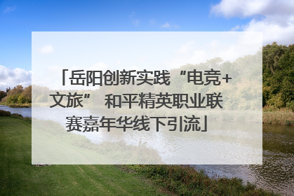岳阳创新实践“电竞+文旅” 和平精英职业联赛嘉年华线下引流