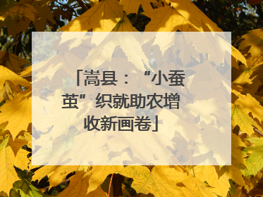 嵩县：“小蚕茧”织就助农增收新画卷