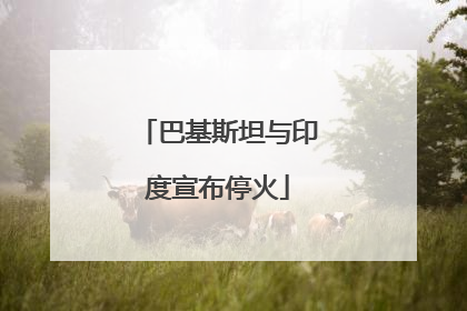 巴基斯坦与印度宣布停火