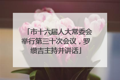 市十六届人大常委会举行第三十次会议，罗缵吉主持并讲话