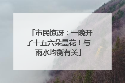 市民惊讶：一晚开了十五六朵昙花！与雨水均衡有关
