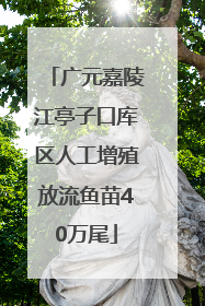 广元嘉陵江亭子口库区人工增殖放流鱼苗40万尾