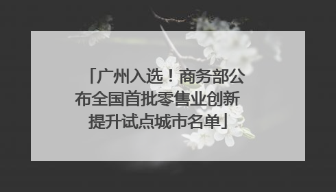 广州入选！商务部公布全国首批零售业创新提升试点城市名单