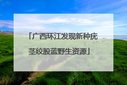 广西环江发现新种疣茎绞股蓝野生资源