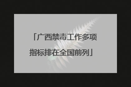 广西禁毒工作多项指标排在全国前列