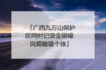 广西九万山保护区同时记录金斑喙凤蝶雌雄个体