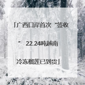 广西口岸首次“签收” 22.24吨越南冷冻榴莲已到货