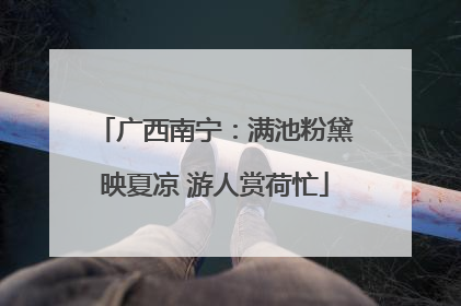 广西南宁：满池粉黛映夏凉 游人赏荷忙