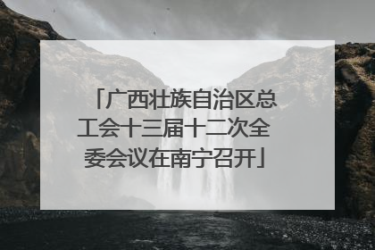 广西壮族自治区总工会十三届十二次全委会议在南宁召开