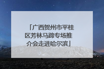 广西贺州市平桂区芳林马蹄专场推介会走进哈尔滨
